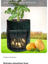 Lade das Bild in den Galerie-Viewer, Garten Kartoffel Anbau Beutel – PE Stoff Garten Pflanzer mit Griffen & Zugriffs Klappe