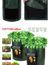 Lade das Bild in den Galerie-Viewer, Garten Kartoffel Anbau Beutel – PE Stoff Garten Pflanzer mit Griffen & Zugriffs Klappe