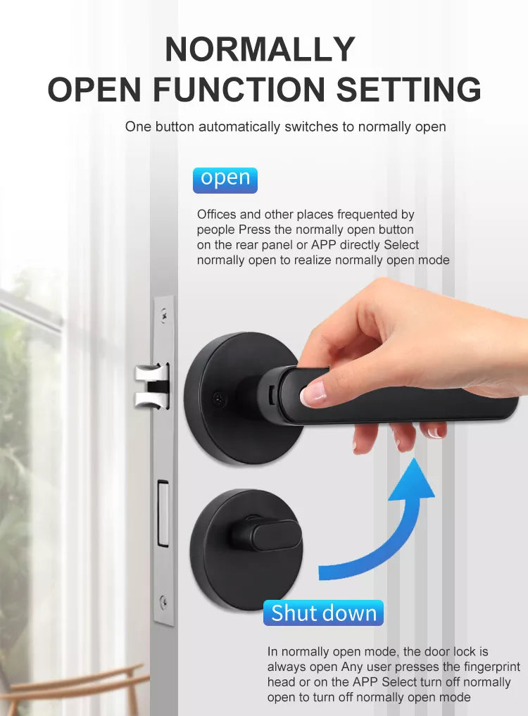 Intelligenter Fingerabdruck-Türschlossgriff für Zuhause, Haus, Wohnung mit Schlüsselkarte, digitales Türschloss, Tastatur, schlüsselloser Zugang, elektronisches Schloss