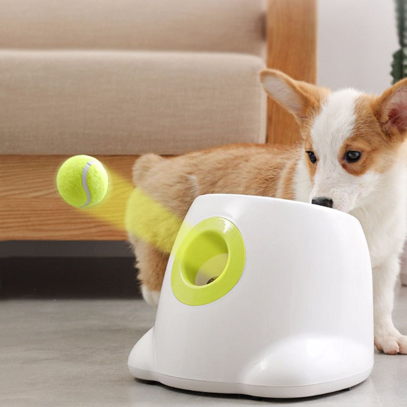 Doggys Tennisball-Maschine - inkl. 3 Bällen für Hundetraining (50% Rabatt)
