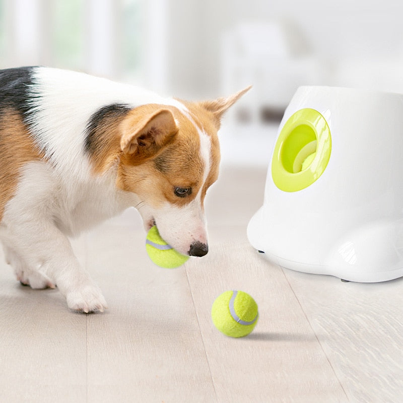 Doggys Tennisball-Maschine - inkl. 3 Bällen für Hundetraining (50% Rabatt)