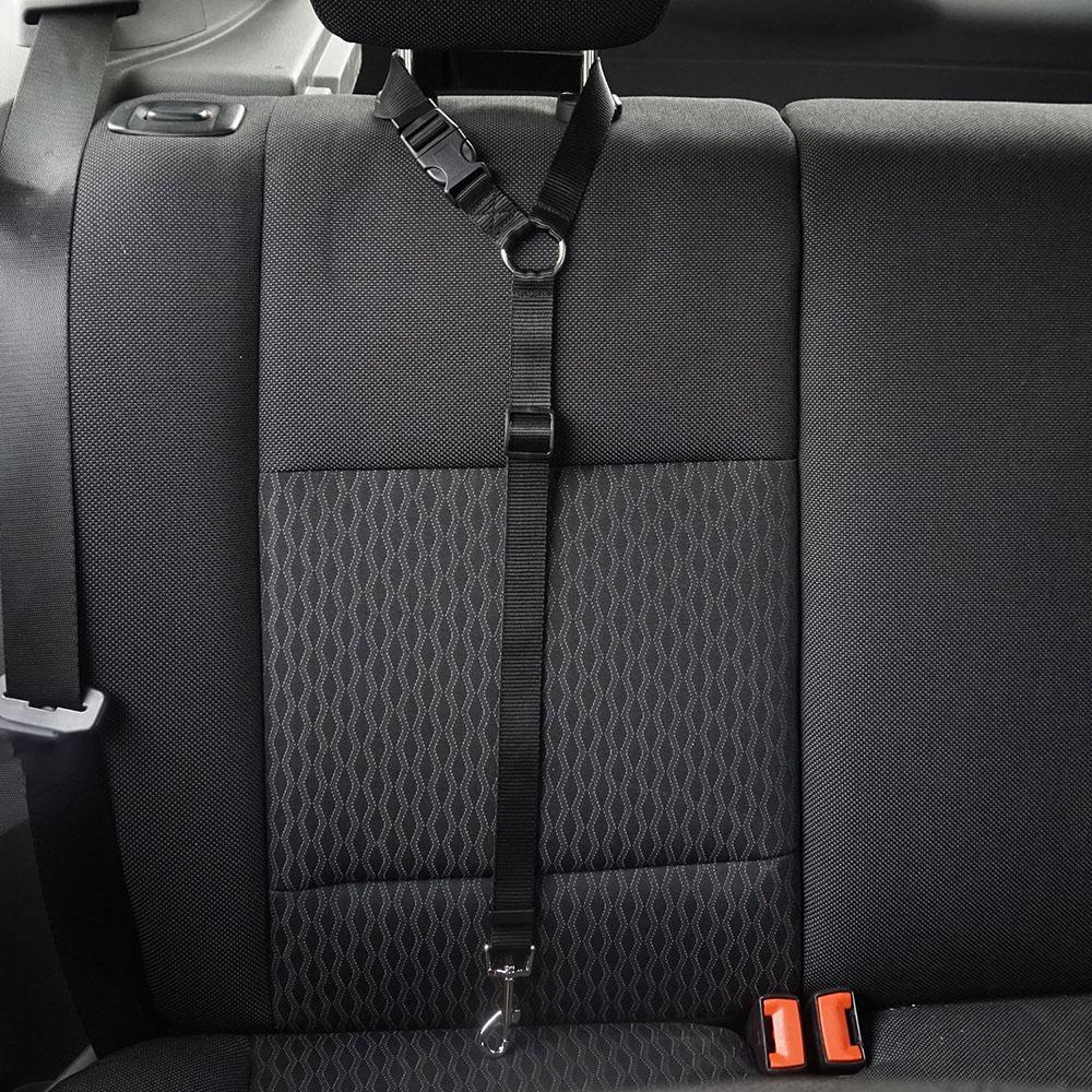 Leashy - Maximale Sicherheit im Auto für Deinen Liebling