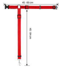 Lade das Bild in den Galerie-Viewer, Leashy - Maximale Sicherheit im Auto für Deinen Liebling