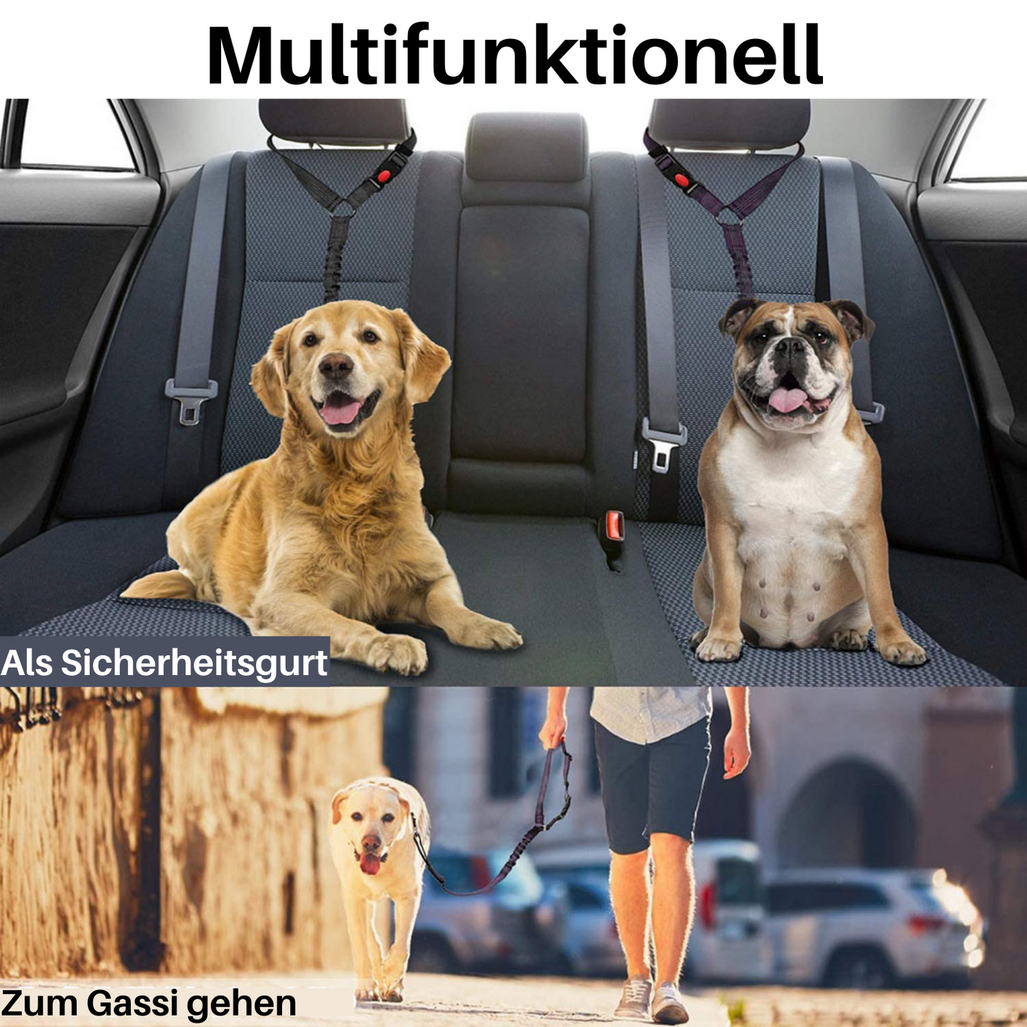 Leashy - Maximale Sicherheit im Auto für Deinen Liebling