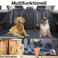 Lade das Bild in den Galerie-Viewer, Leashy - Maximale Sicherheit im Auto für Deinen Liebling