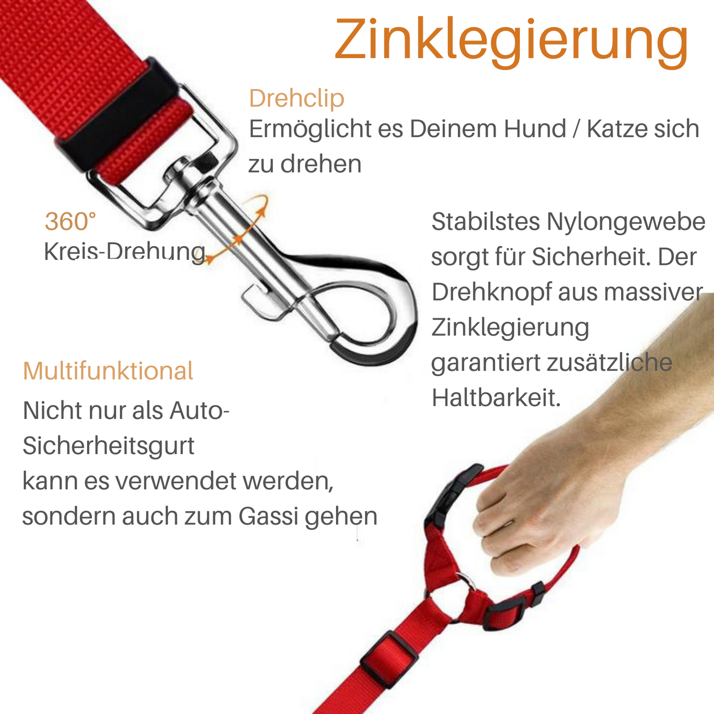 Leashy - Maximale Sicherheit im Auto für Deinen Liebling