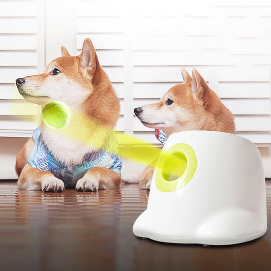 Doggys Tennisball-Maschine - inkl. 3 Bällen für Hundetraining (50% Rabatt)